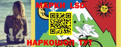 mdma Камышлов