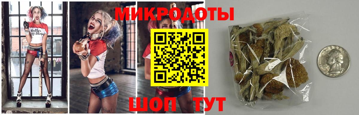 Псилоцибиновые грибы мухоморы Хасавюрт