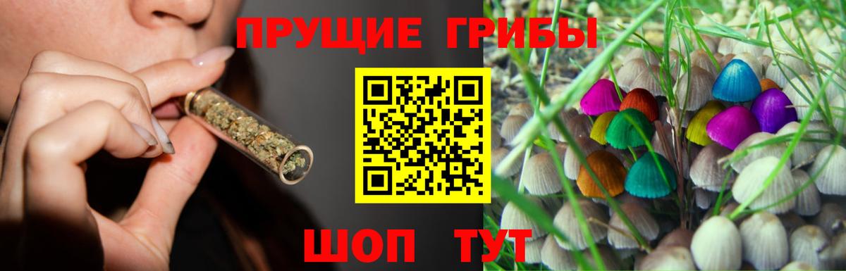 Псилоцибиновые грибы мухоморы  где купить наркоту  Хасавюрт  Вход с VPN 